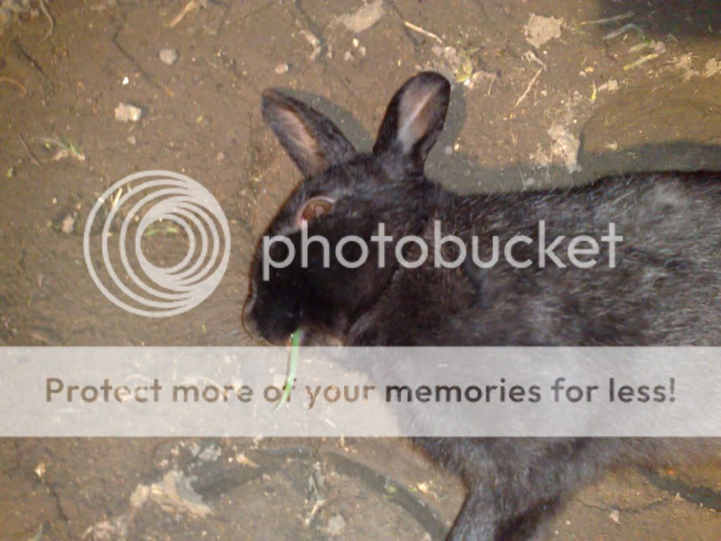 14032009173.jpg