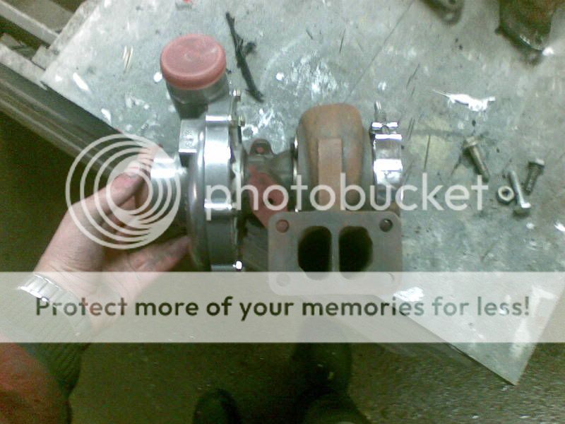 08032009006.jpg?t=1236534759