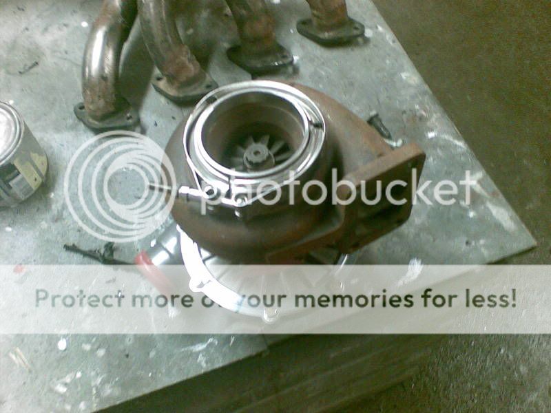 08032009007.jpg?t=1236534702