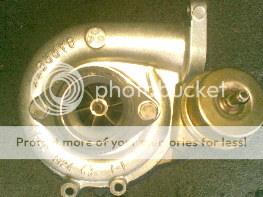 20122008.jpg?t=1230057218