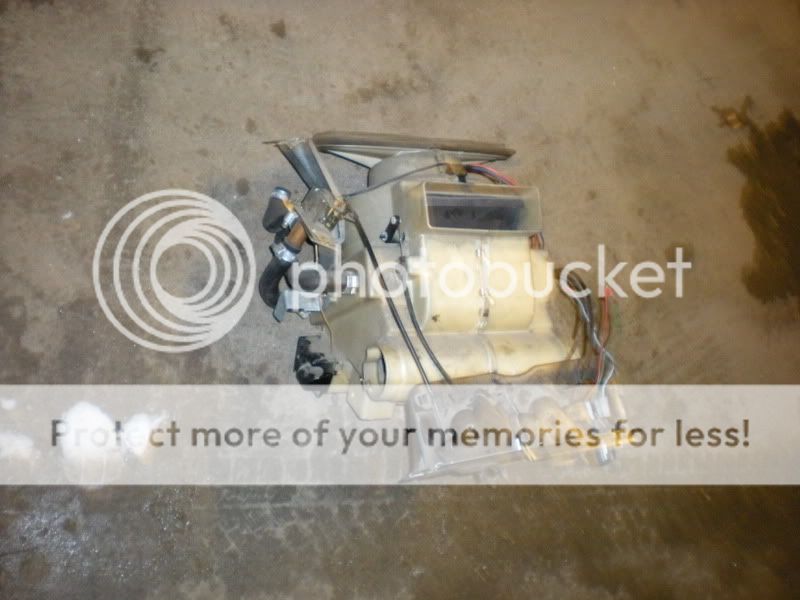 DSCN0008.jpg?t=1231183496