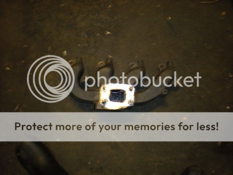 DSCN0011.jpg?t=1231183820