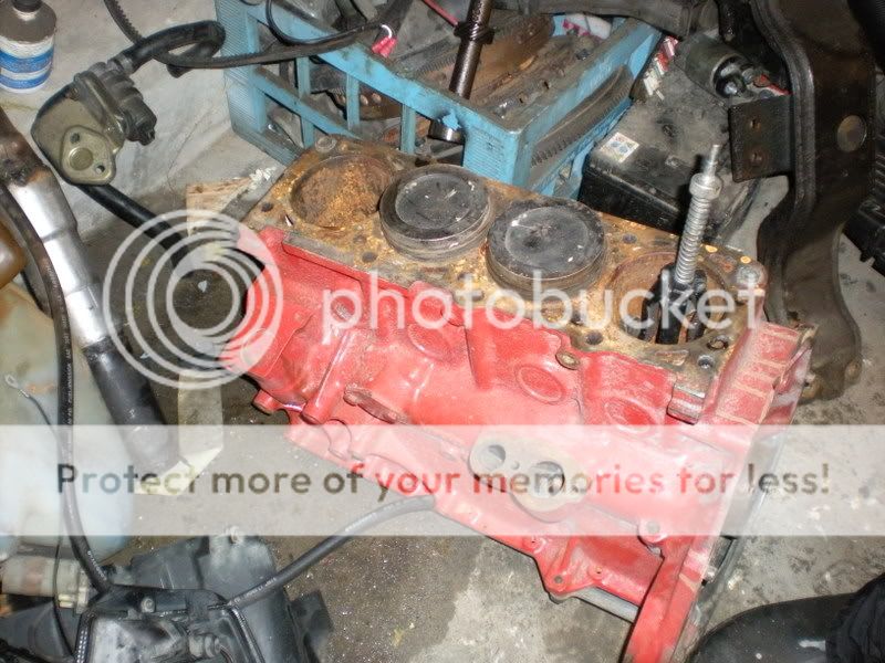 DSCN0025.jpg?t=1231182152