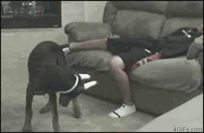 Laser_pointer_dogbites.gif image by doroelse
