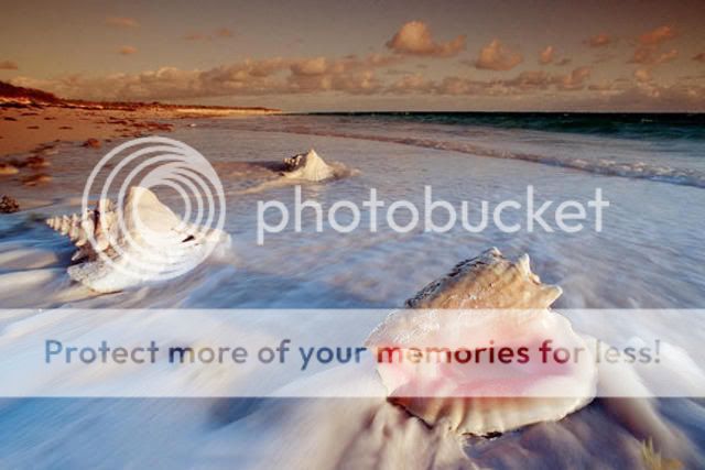 f bahamashellm 20991f6