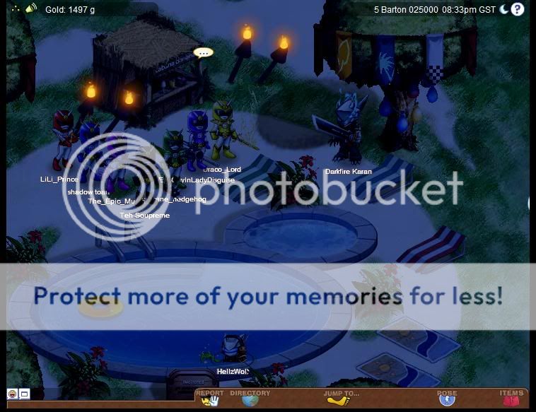 User Image
