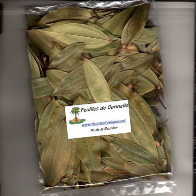 Feuilles de Cannelle (Cinnamomum verum)