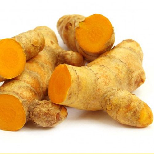 curcuma-longa-rhizome